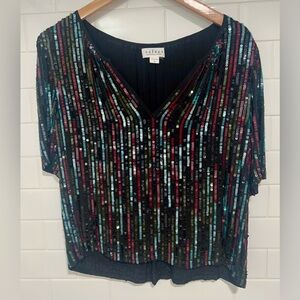 Velvet By Graham and Spencer Nikki Sequin V Neck Blouse Size Medium (NWOT)